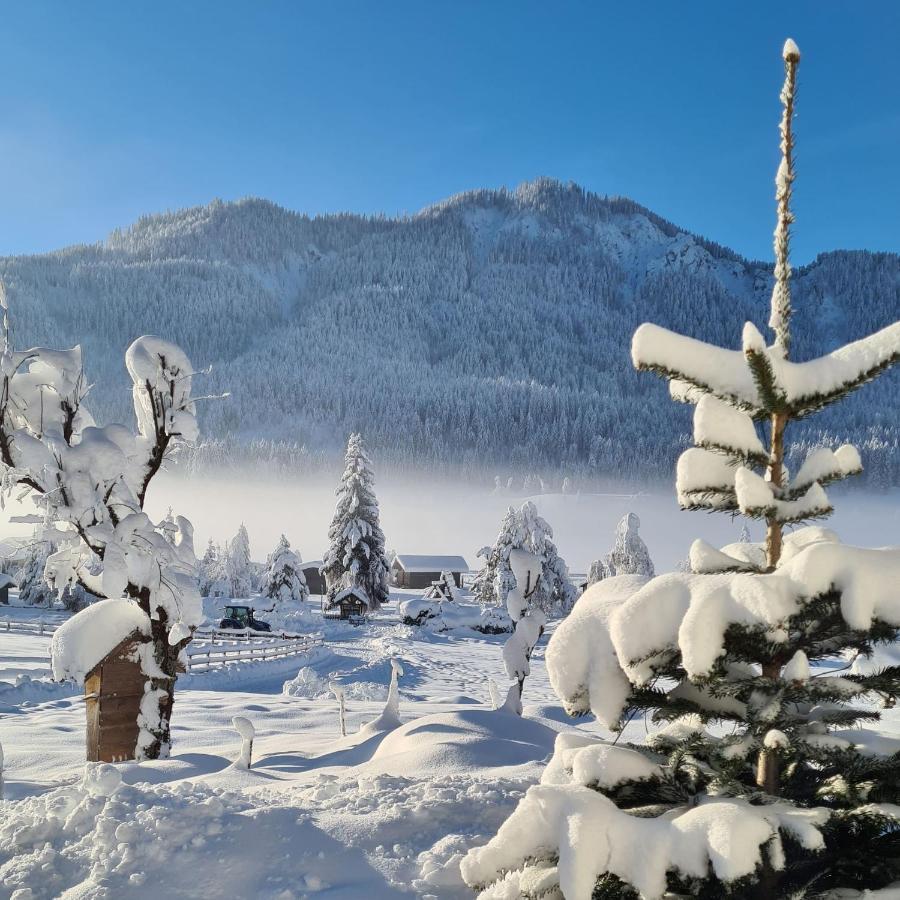 Hotel Winkler-Tuschnig Weissensee Exteriér fotografie