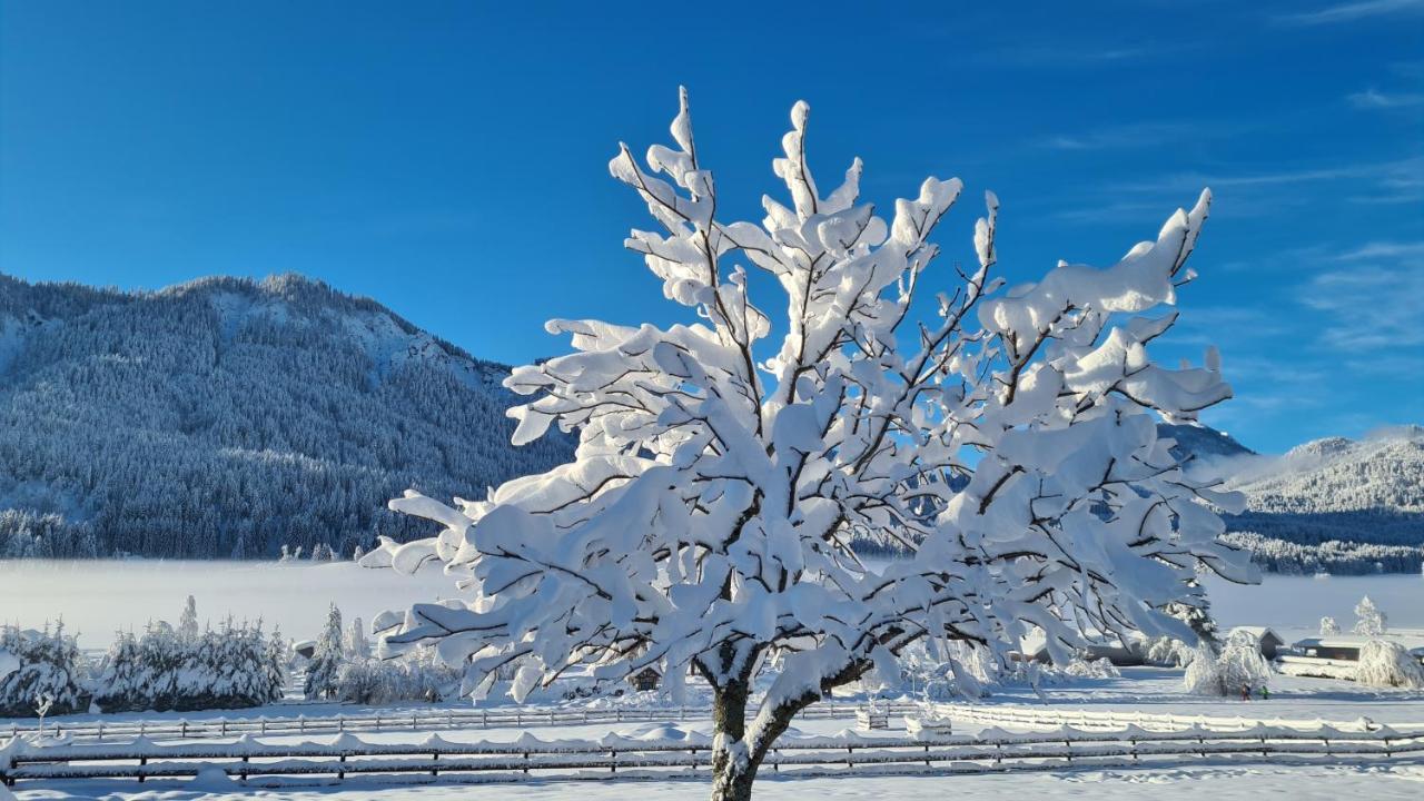 Hotel Winkler-Tuschnig Weissensee Exteriér fotografie
